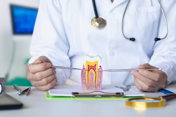 Best Emergency Treatment for Oral Infections in Meadowood, PA